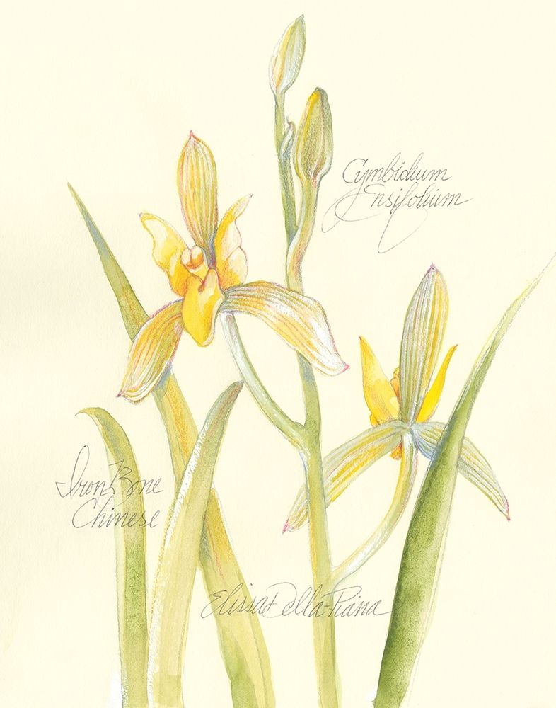 Art Print: Elissas Garden IV