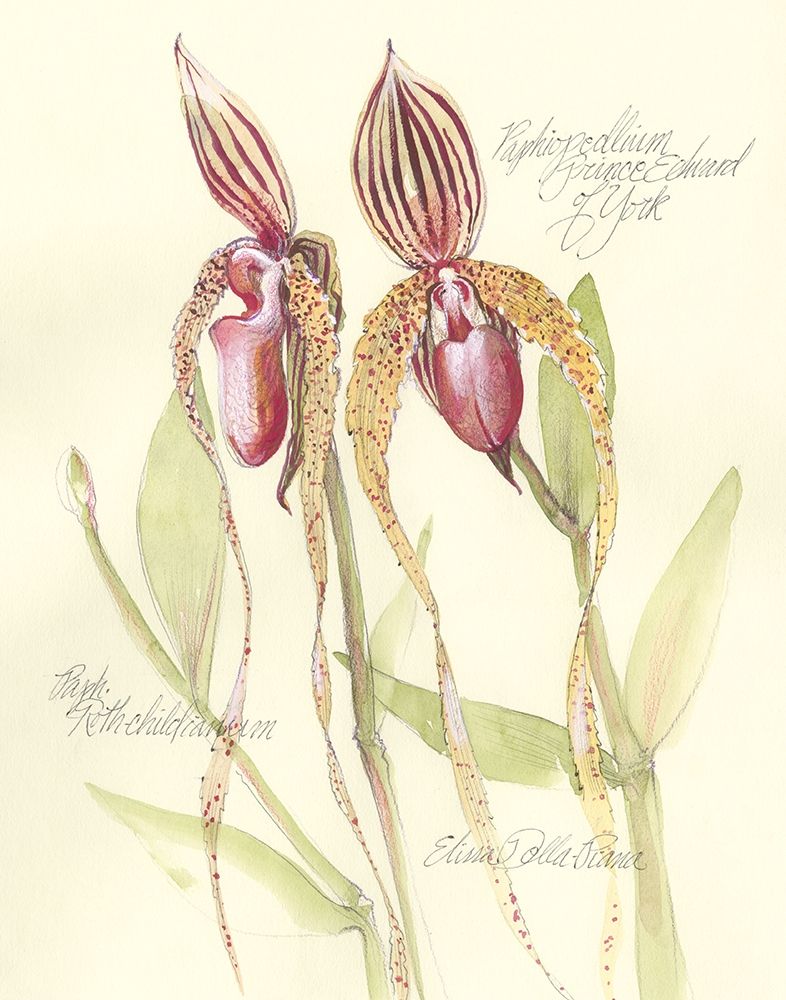 Art Print: Elissas Garden VIII