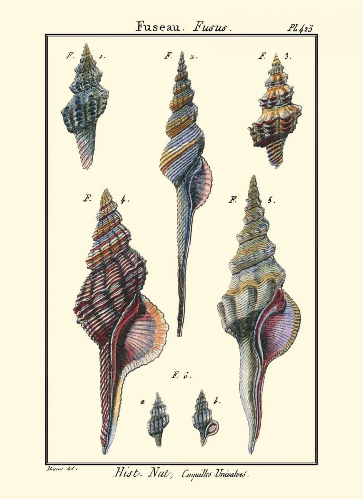Wall Art Painting id:66453, Name: Sea Shells I, Artist: Diderot, Denis