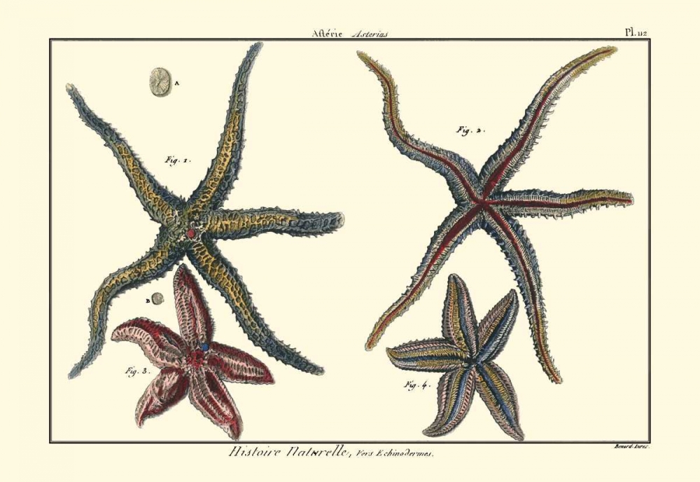 Similar wall art painting: 66461