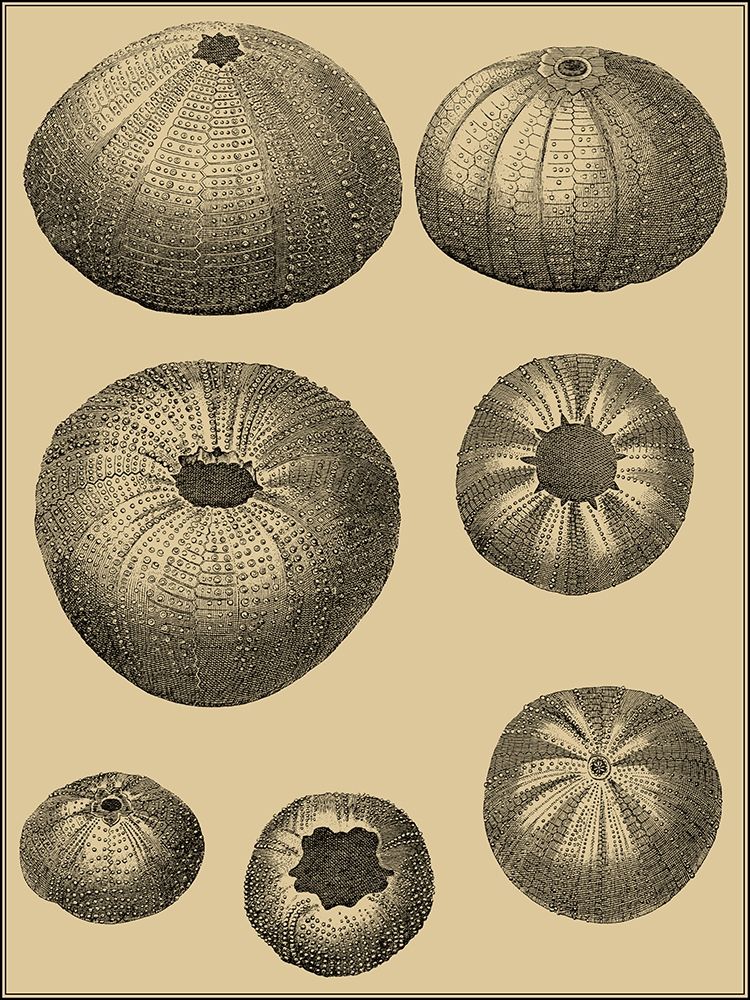 Similar wall art painting: 247678