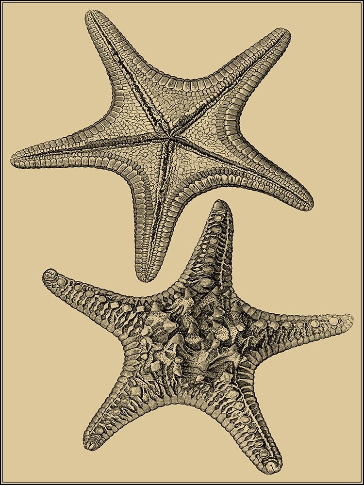 Similar wall art painting: 247679