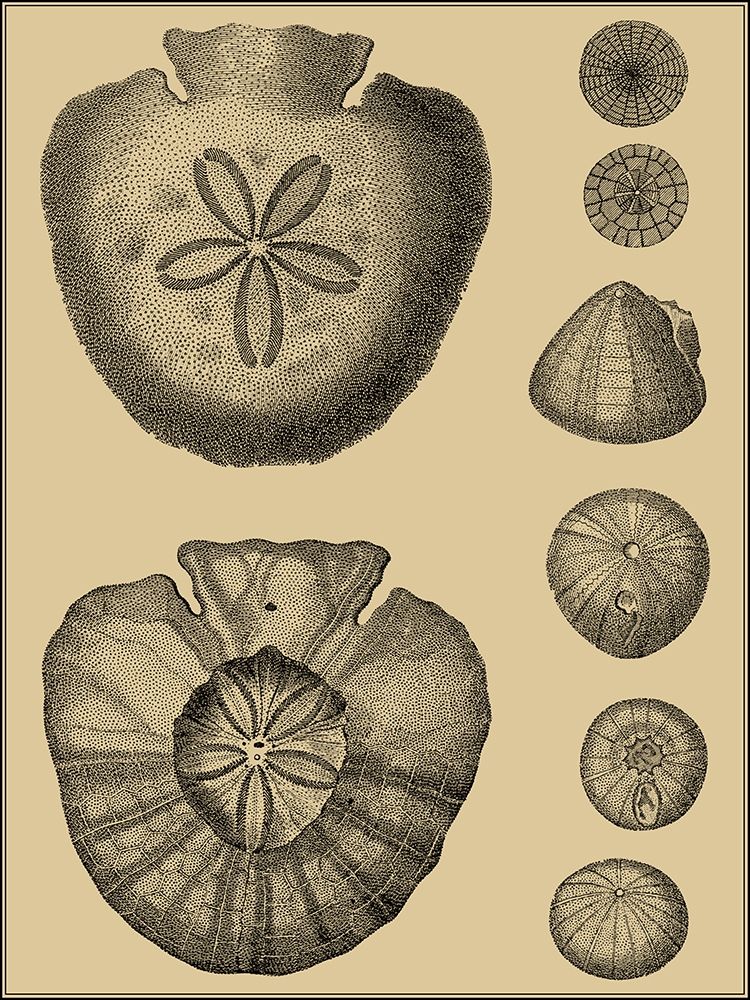 Similar wall art painting: 247680