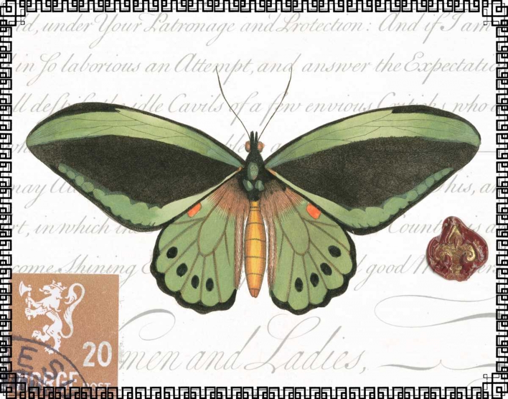 Wall Art Painting id:64681, Name: Butterfly Prose II, Artist: Vision Studio