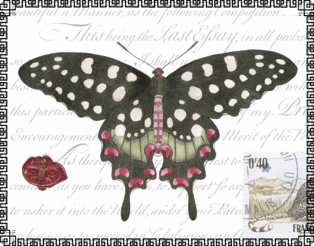 Wall Art Painting id:64683, Name: Butterfly Prose V, Artist: Vision Studio