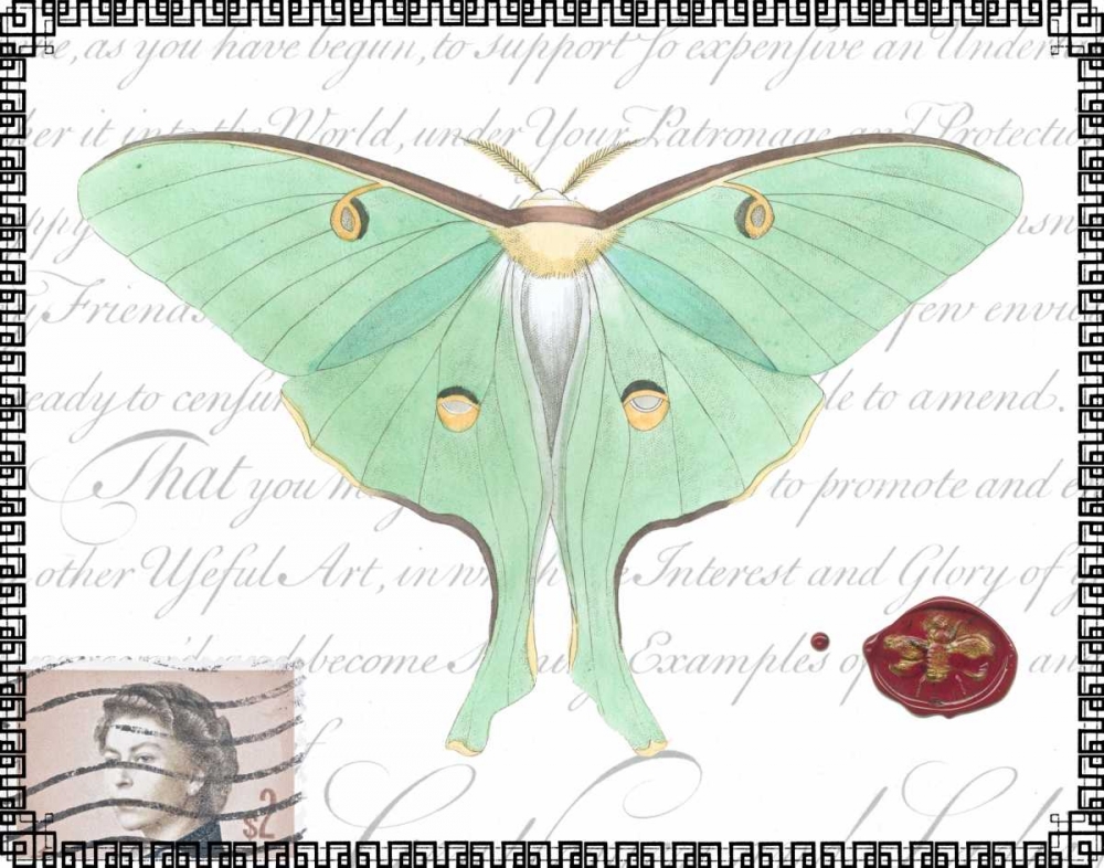 Wall Art Painting id:64684, Name: Butterfly Prose VI, Artist: Vision Studio
