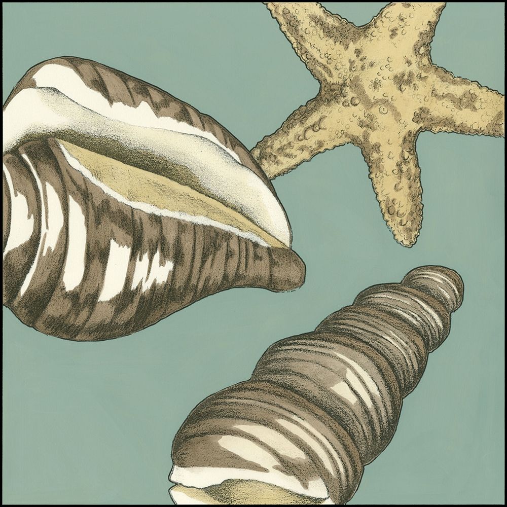 Art Print: Small Shell Trio on Blue I