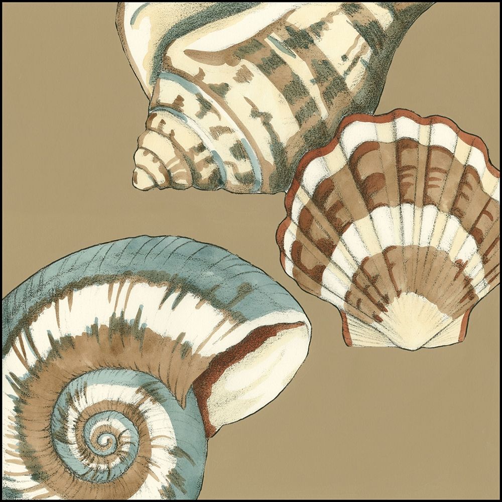 Art Print: Small Shell Trio on Khaki II