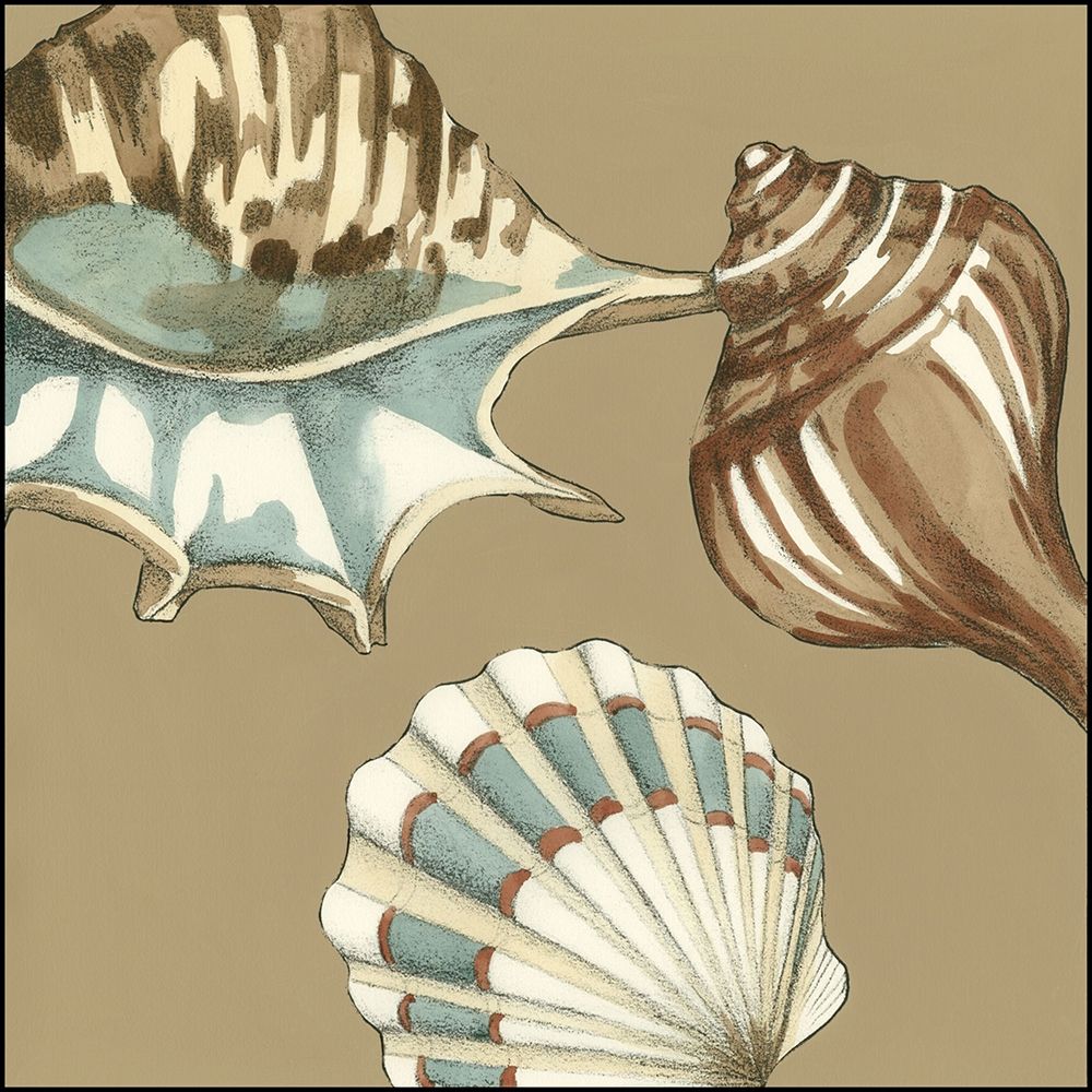 Art Print: Small Shell Trio on Khaki III