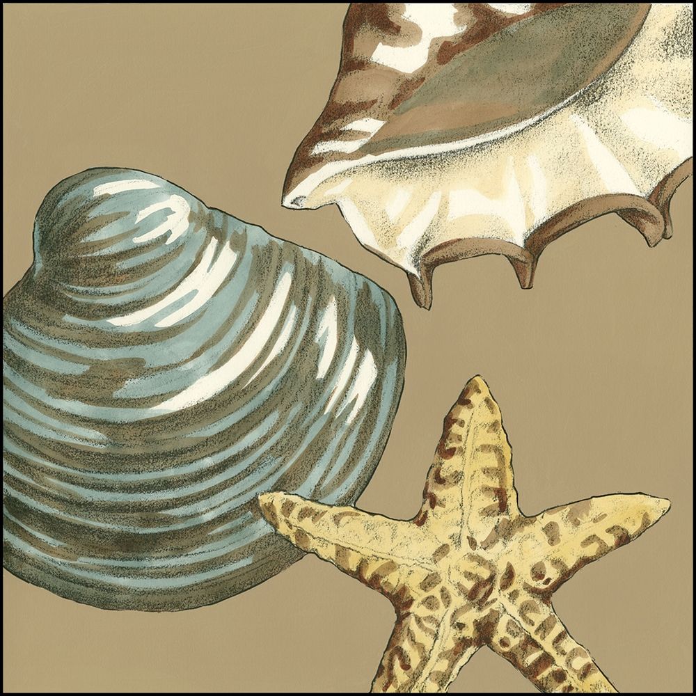 Art Print: Small Shell Trio on Khaki IV