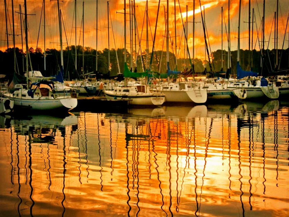 Art Print: Marina Sunrise I