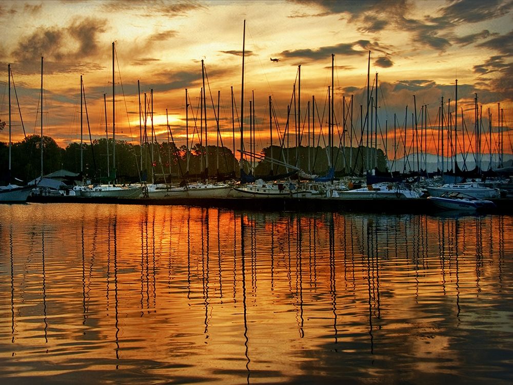 Art Print: Marina Sunrise III