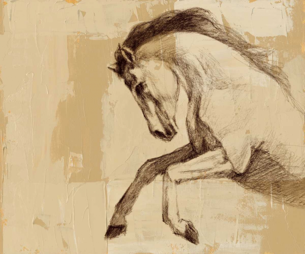 Wall Art Painting id:34604, Name: Majestic Horse II, Artist: Harper, Ethan
