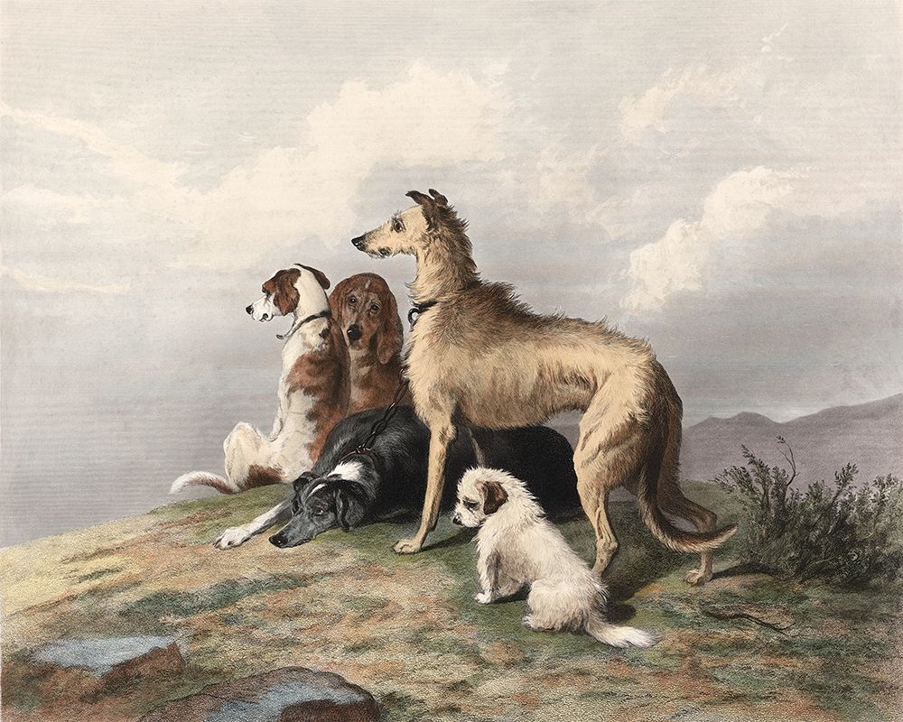 Wall Art Painting id:271022, Name: Highland Dogs, Artist: Landseer, Edward