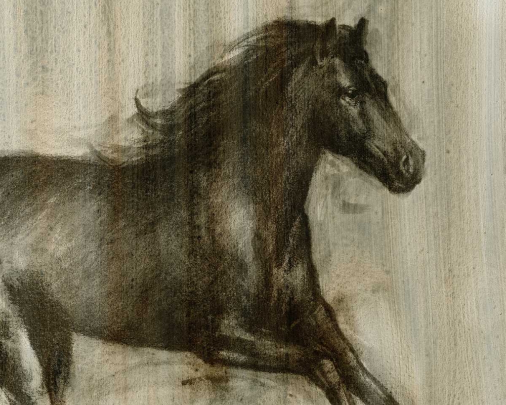 Wall Art Painting id:34607, Name: Dynamic Stallion I, Artist: Harper, Ethan