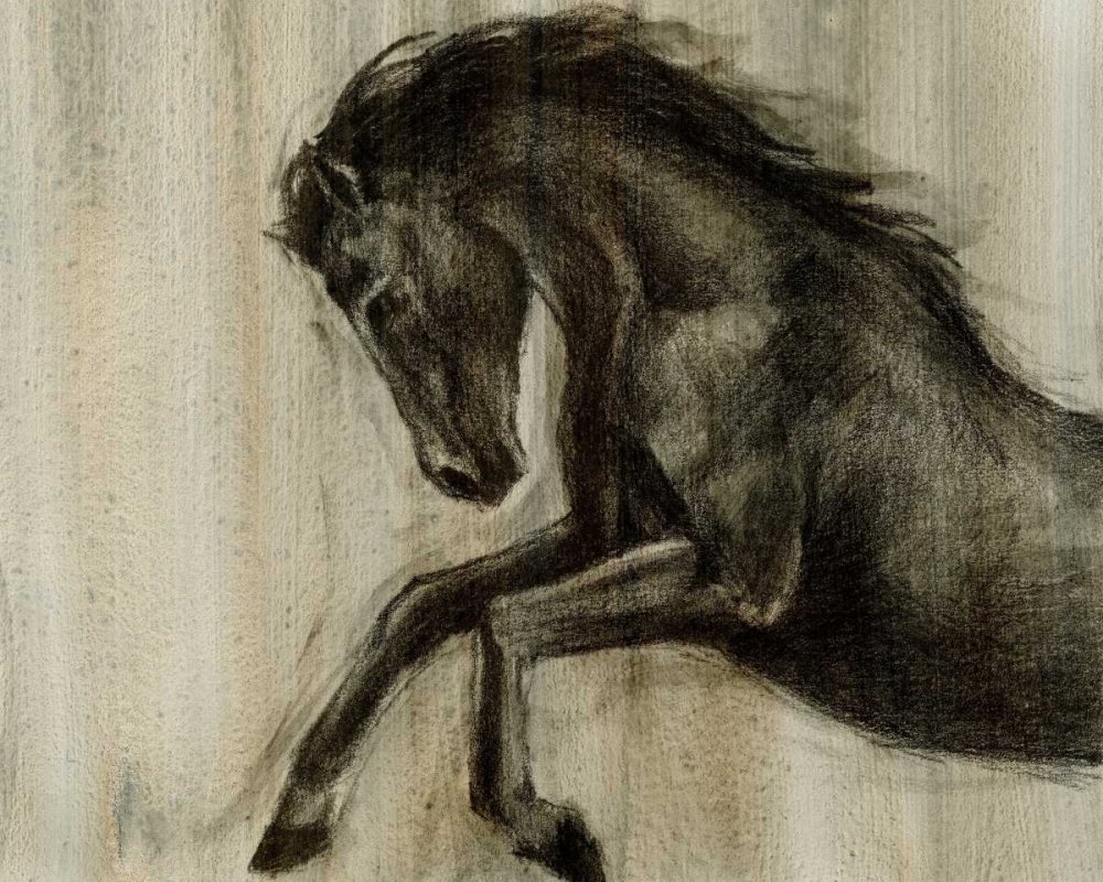 Wall Art Painting id:34608, Name: Dynamic Stallion II, Artist: Harper, Ethan