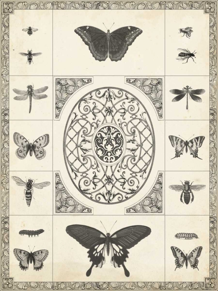 Wall Art Painting id:60477, Name: Natures Memento I, Artist: Vision Studio