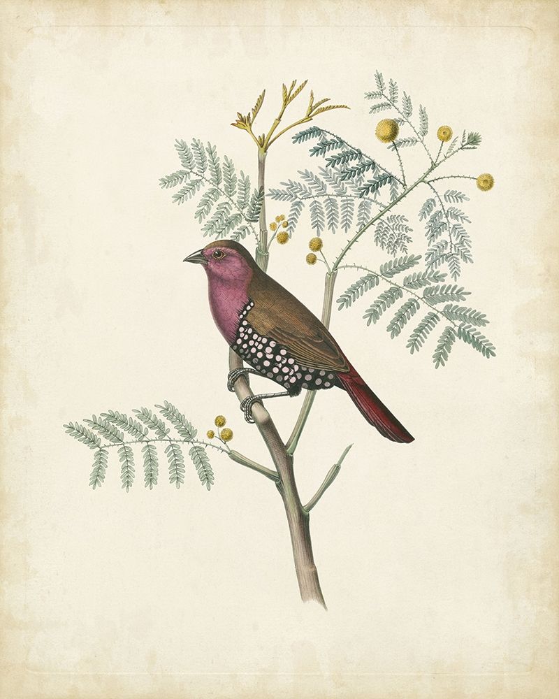 Similar wall art painting: 226901