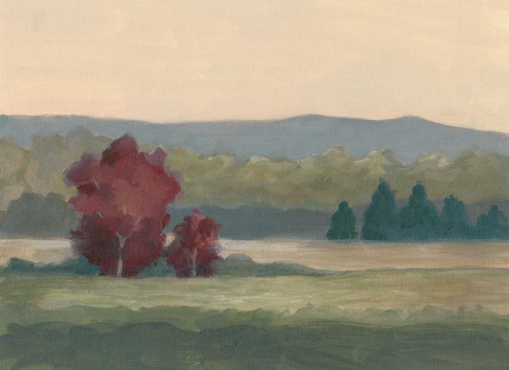 Wall Art Painting id:34657, Name: Morning Haze II, Artist: Harper, Ethan