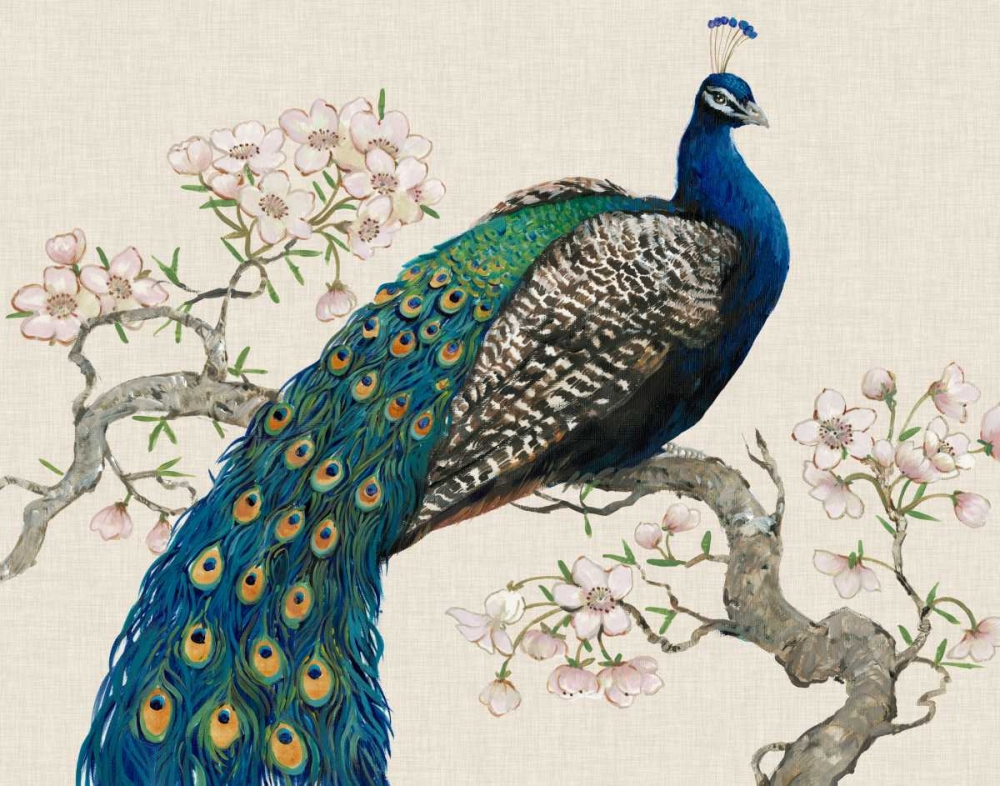 Art Print: Peacock and Blossoms I