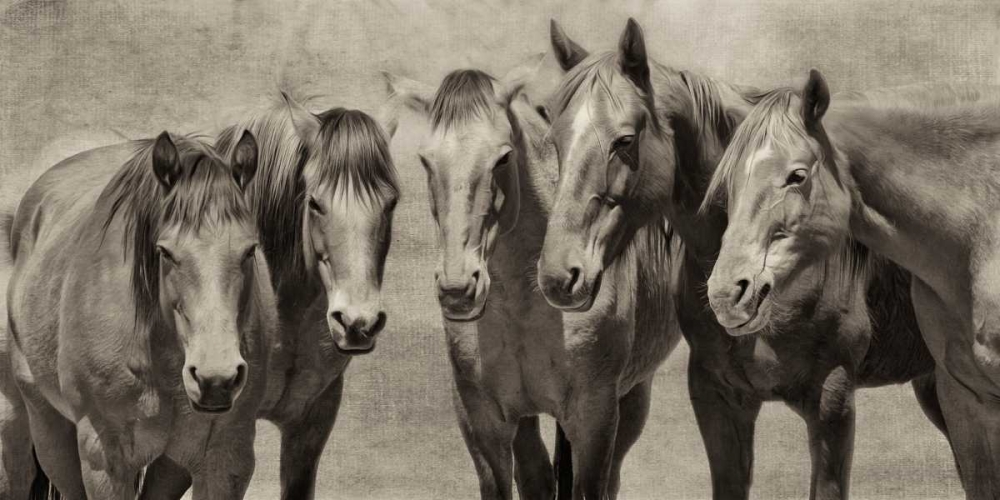 Wall Art Painting id:38342, Name: Meeting of the Minds, Artist: PHBurchett