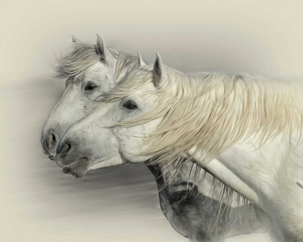 Wall Art Painting id:38345, Name: Curiosity, Artist: PHBurchett