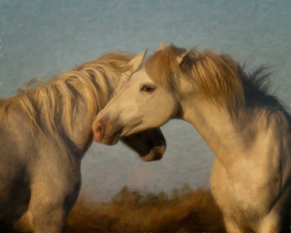 Wall Art Painting id:38346, Name: French Affair, Artist: PHBurchett