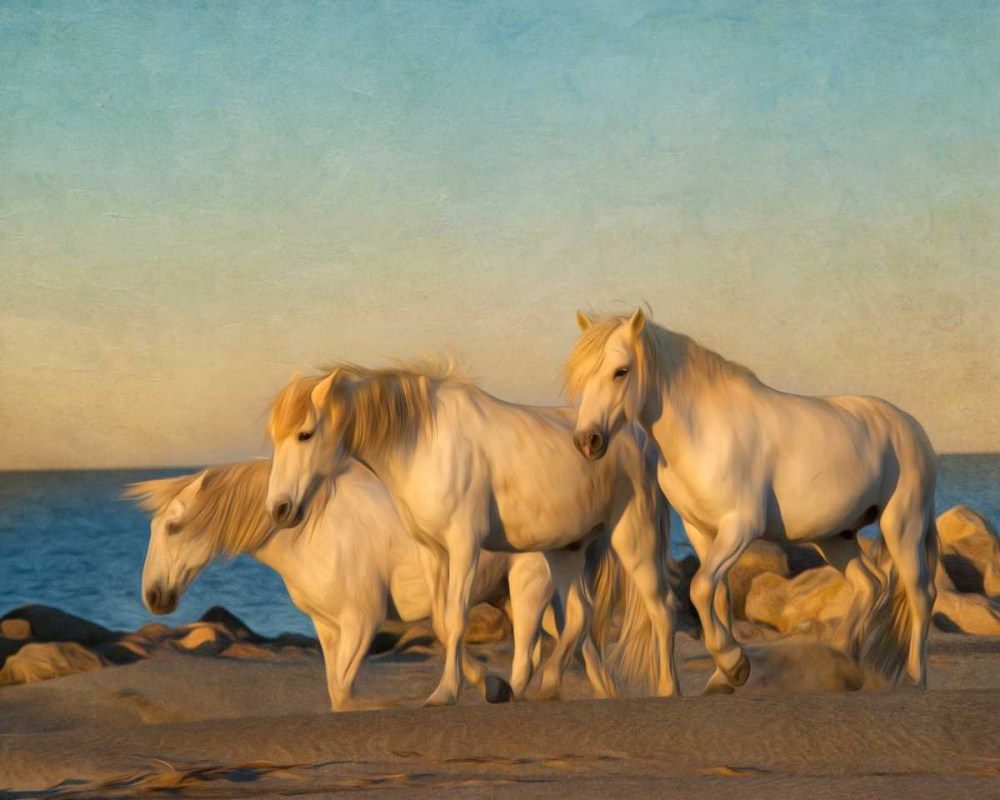 Wall Art Painting id:38347, Name: On the Beach, Artist: PHBurchett