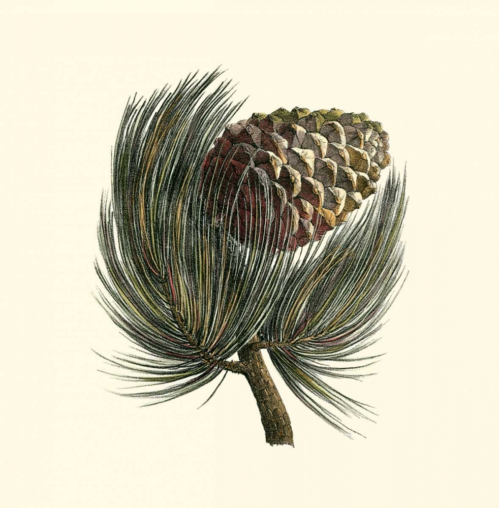 Wall Art Painting id:38352, Name: Pignon Pine, Artist: Unknown