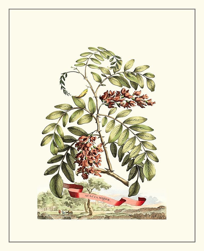 Art Print: Grandiose View I