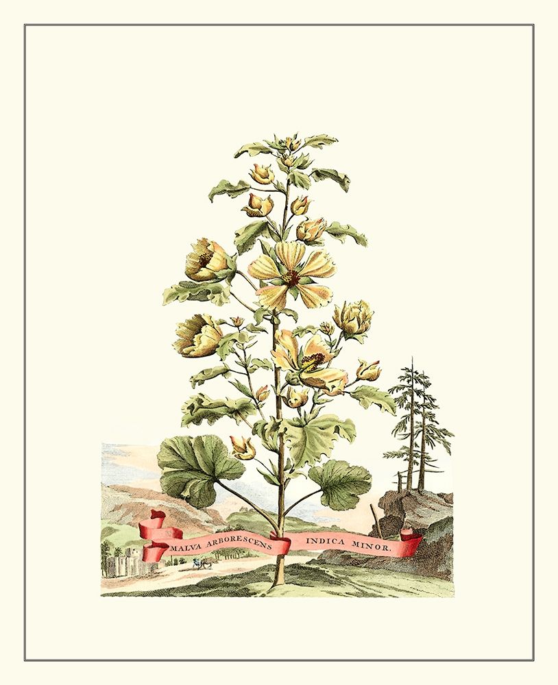 Art Print: Grandiose View II