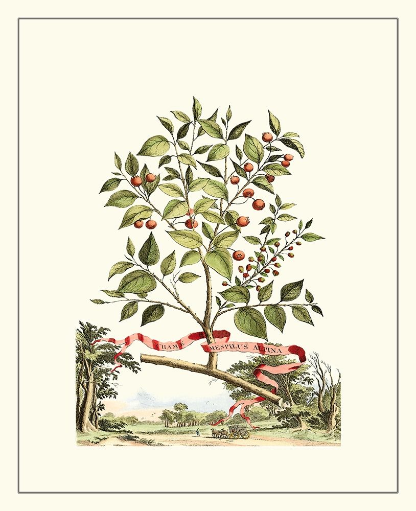 Art Print: Grandiose View III