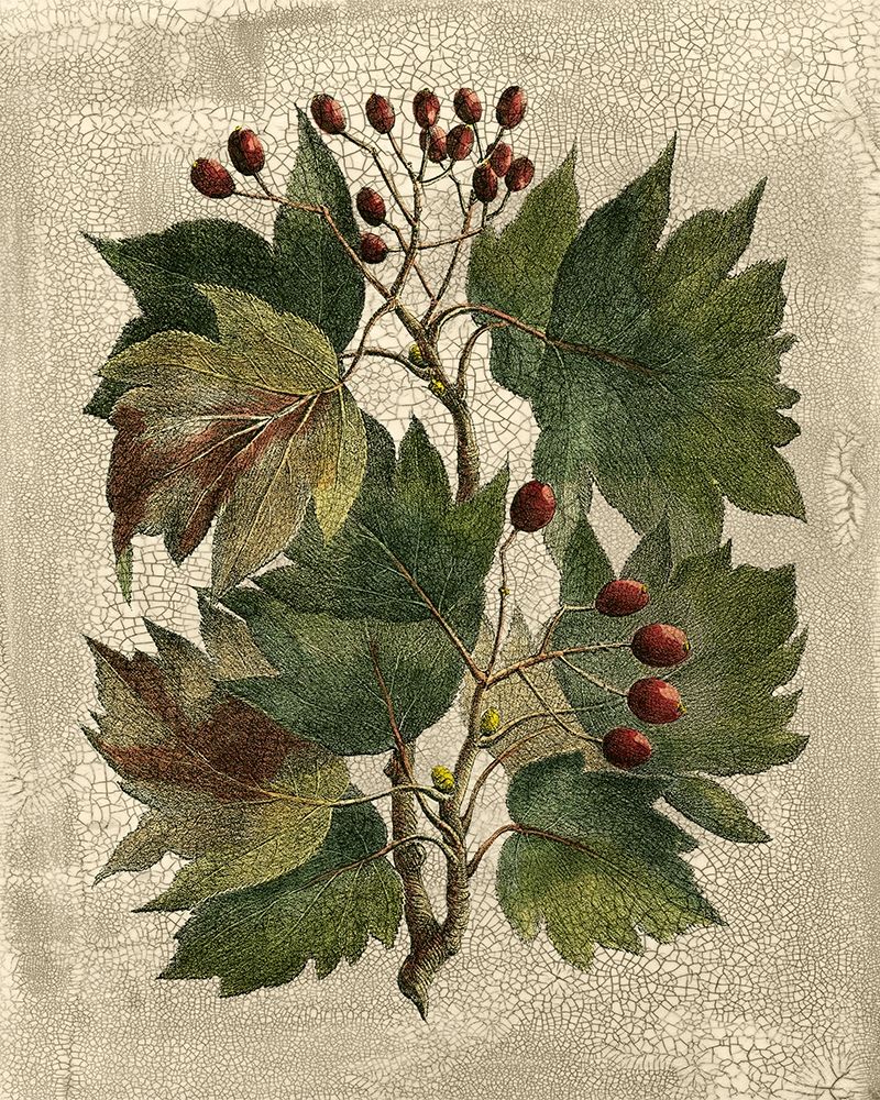 Wall art: Deshayes Tree I, by Deshayes, Gerard Paul