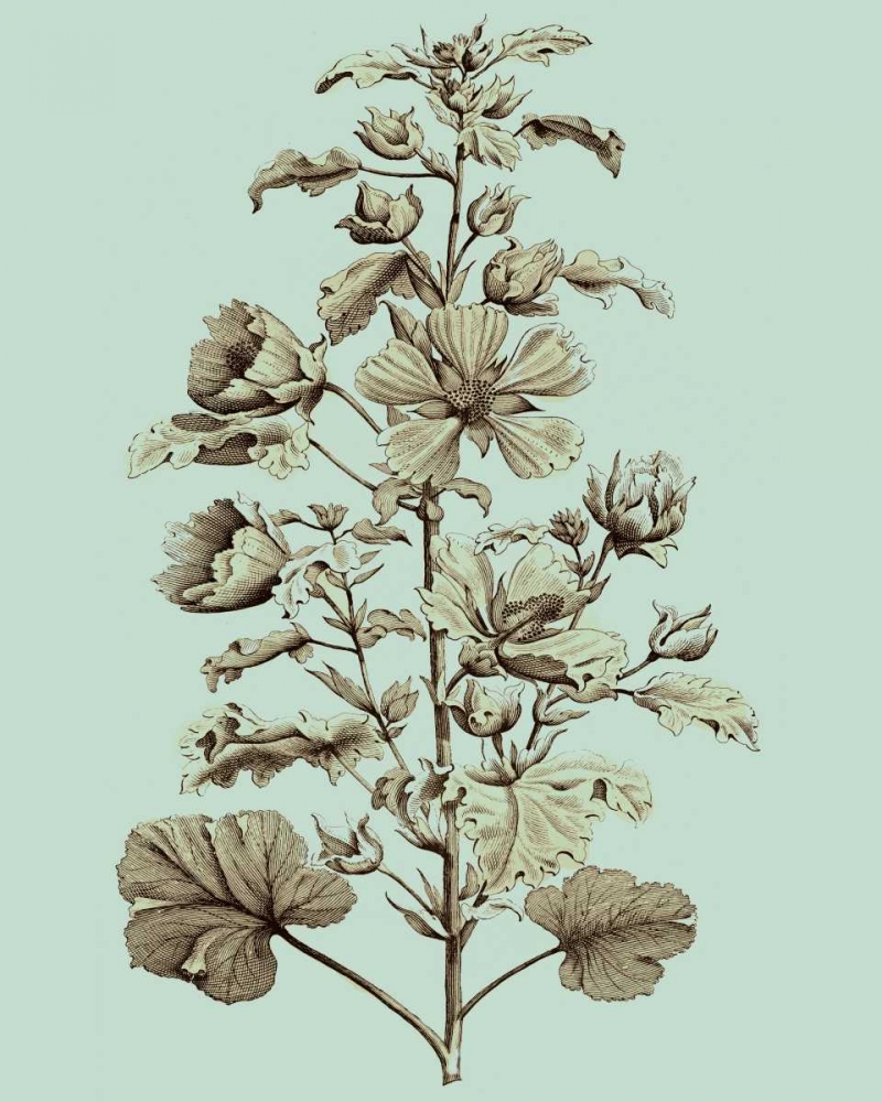 Art Print: Imperial Munting I