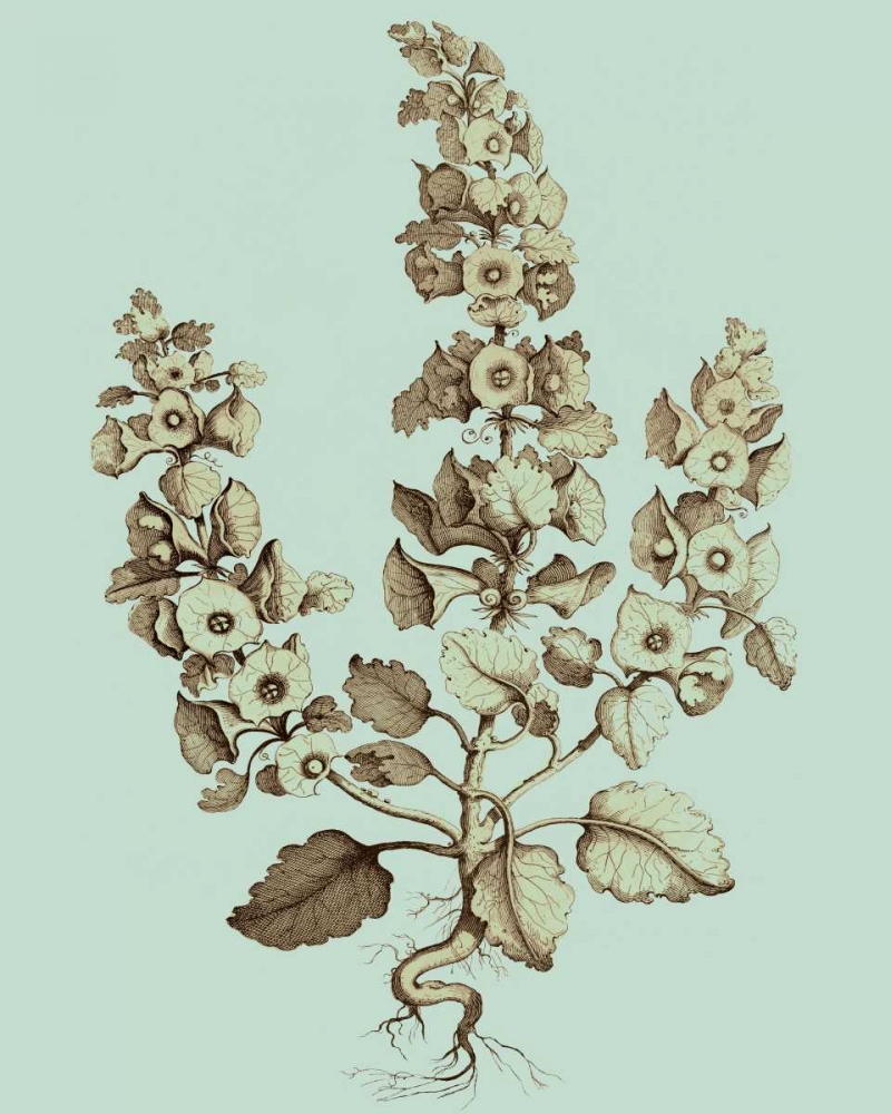 Art Print: Imperial Munting II