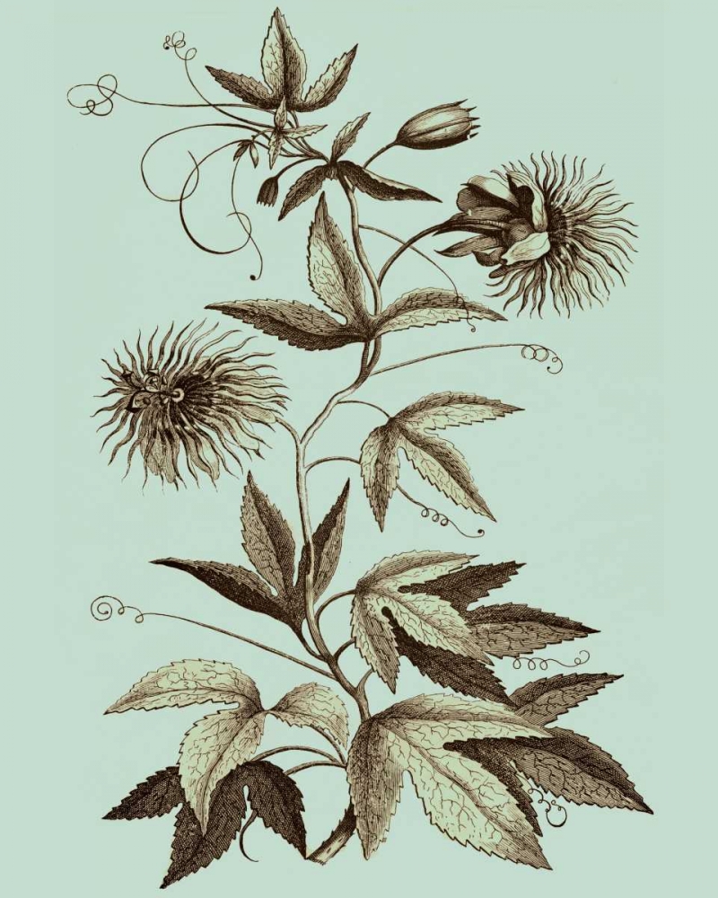 Art Print: Imperial Munting III