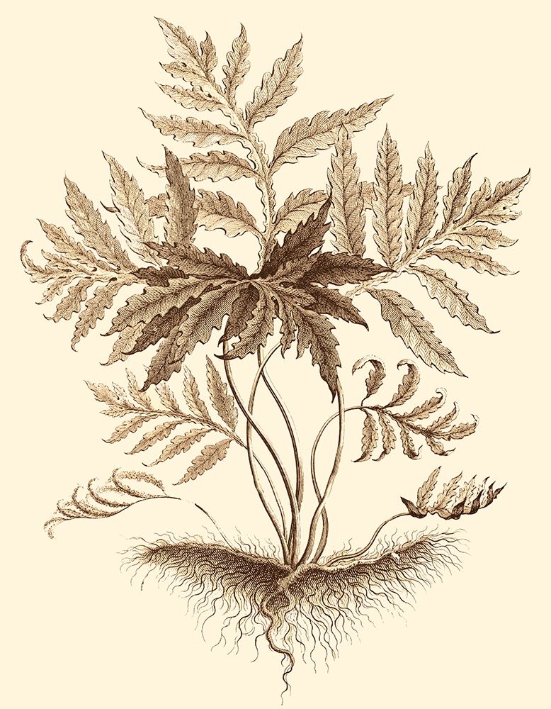 Art Print: Sepia Munting Foliage IV