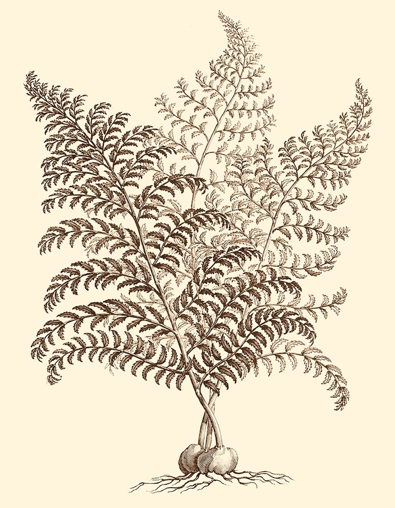 Art Print: Sepia Munting Foliage VI