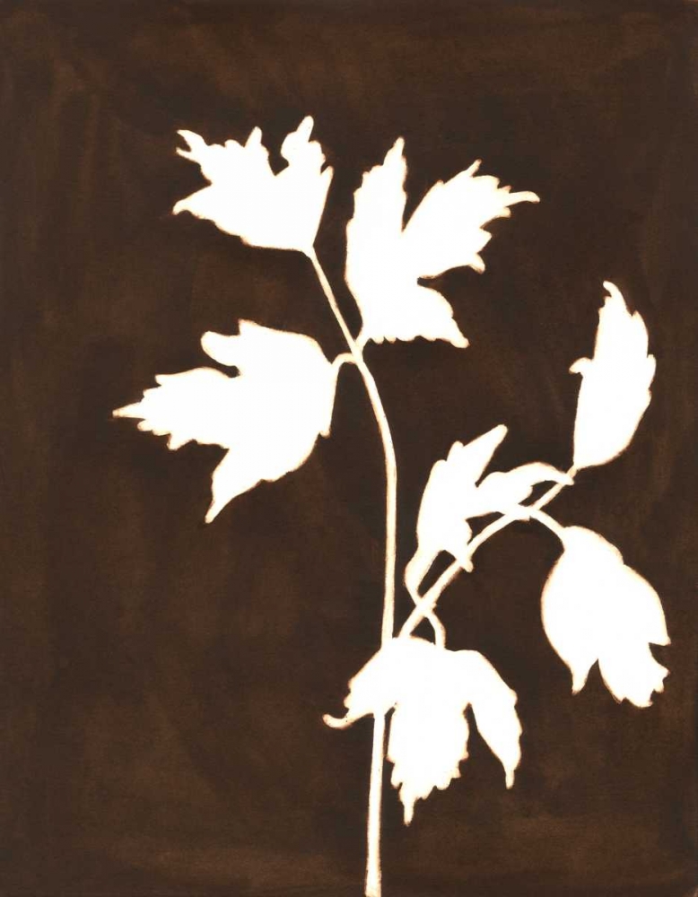 Wall Art Painting id:34775, Name: Four Seasons Foliage IV, Artist: Meagher, Megan