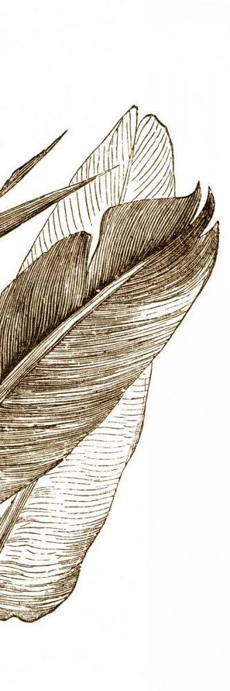 Wall Art Painting id:34782, Name: Bird of Paradise Triptych III, Artist: Vision Studio