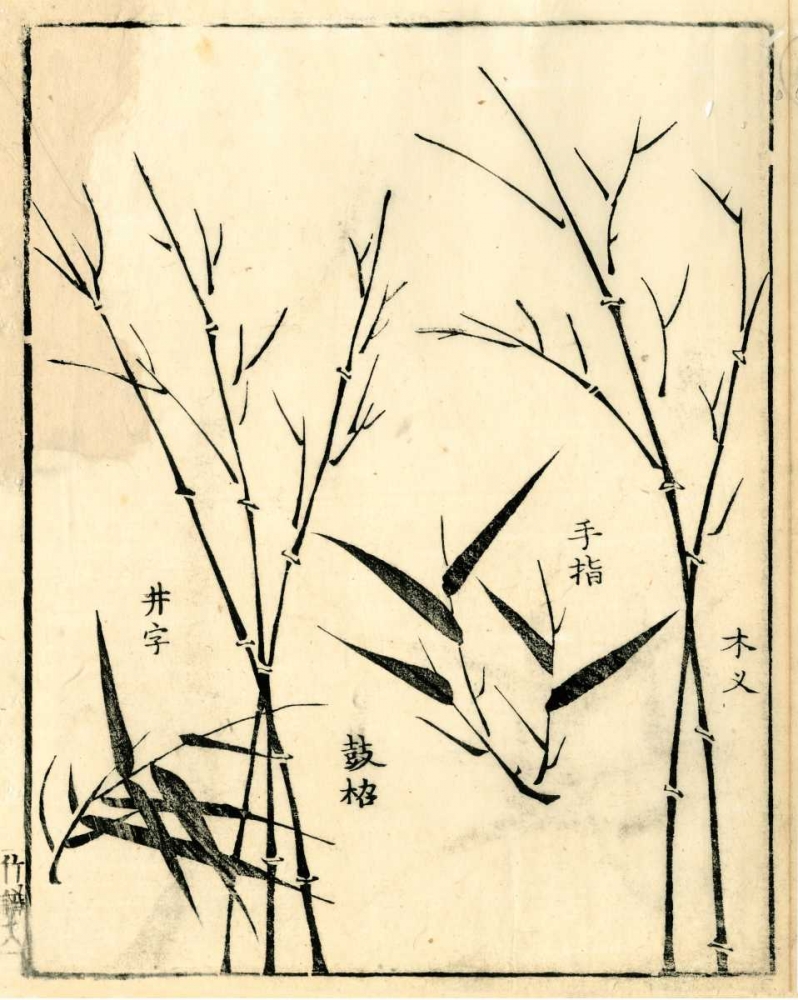 Art Print: Bamboo Woodblock II