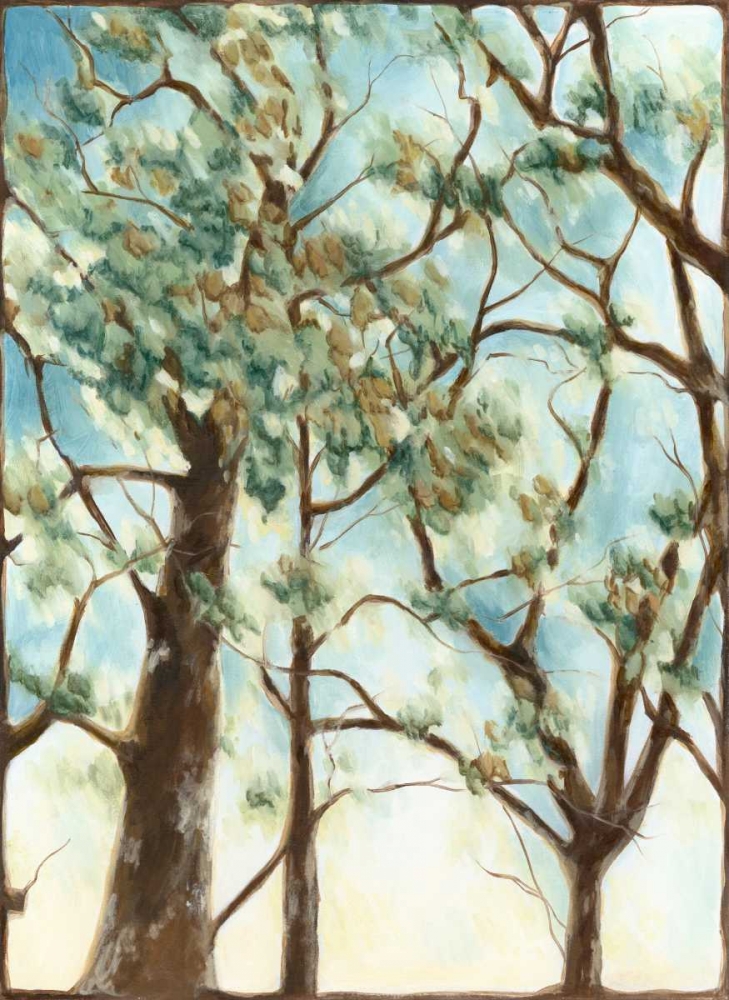 Wall Art Painting id:34817, Name: Shenandoah Sunrise II, Artist: Meagher, Megan