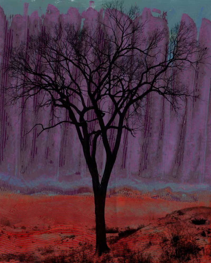 Wall Art Painting id:34886, Name: Aurora I, Artist: Ludwig, Alicia