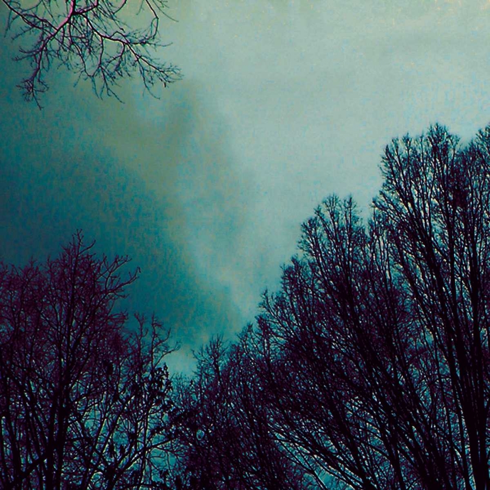 Wall Art Painting id:34899, Name: Nocturne I, Artist: Ludwig, Alicia