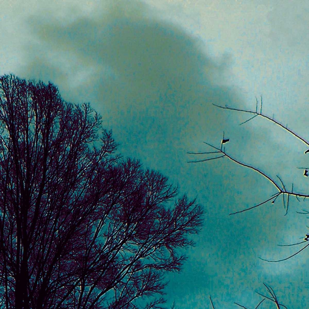 Wall Art Painting id:34900, Name: Nocturne II, Artist: Ludwig, Alicia