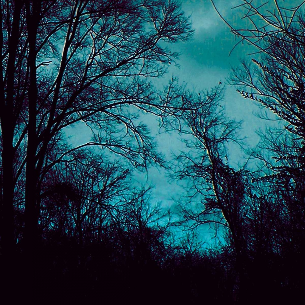 Wall Art Painting id:34902, Name: Nocturne IV, Artist: Ludwig, Alicia