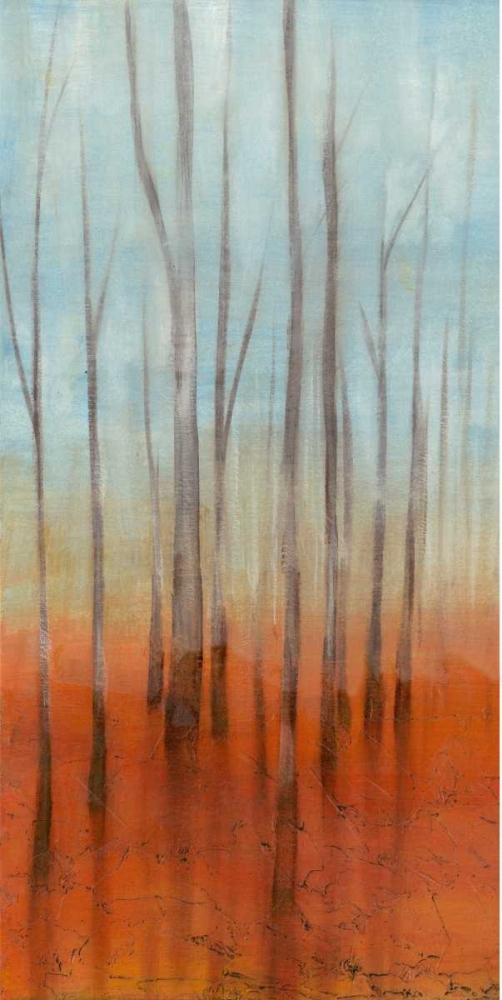 Wall Art Painting id:34905, Name: Birch Forest I, Artist: Goldberger, Jennifer