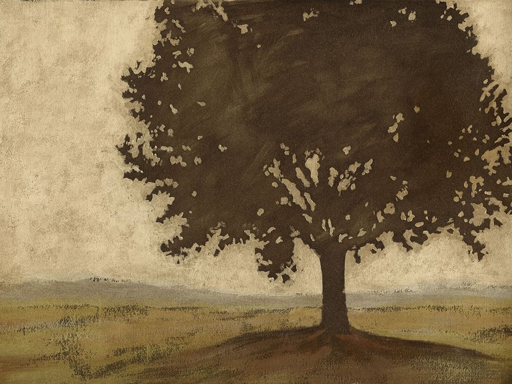 Art Print: Shenandoah Vista II (ASH)