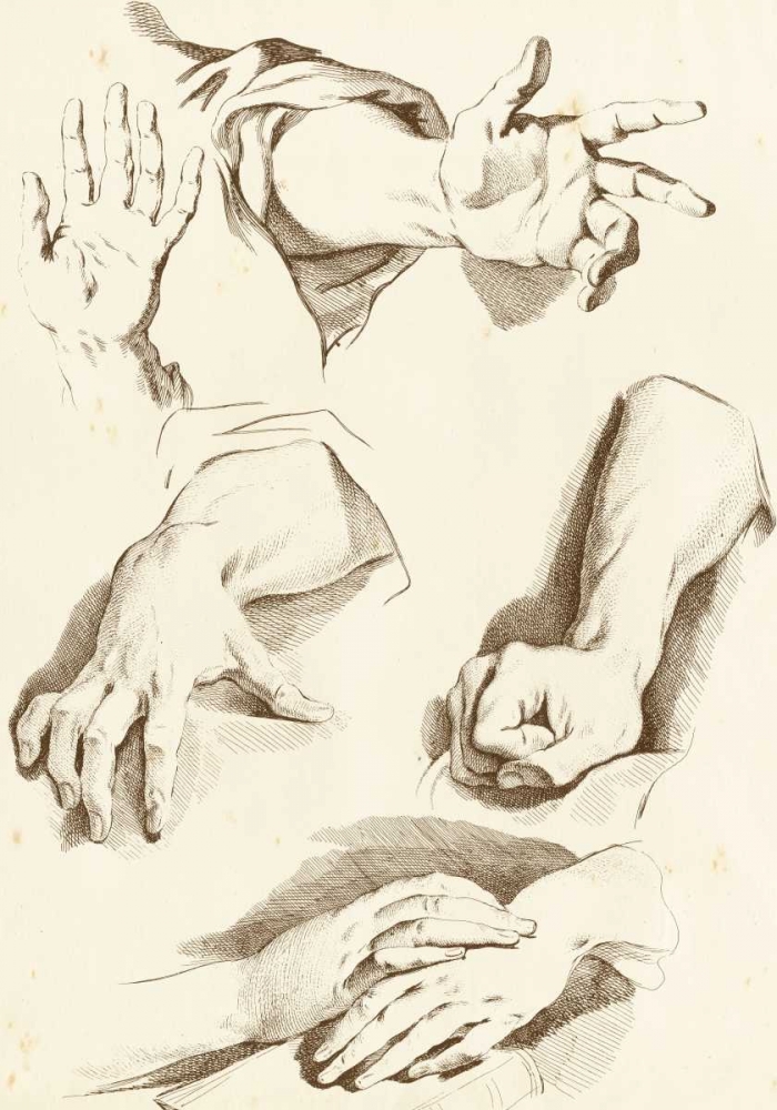 Wall Art Painting id:34974, Name: Study of Hands, Artist: Diderot
