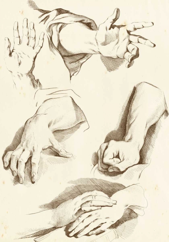 Art Print: Study of Hands